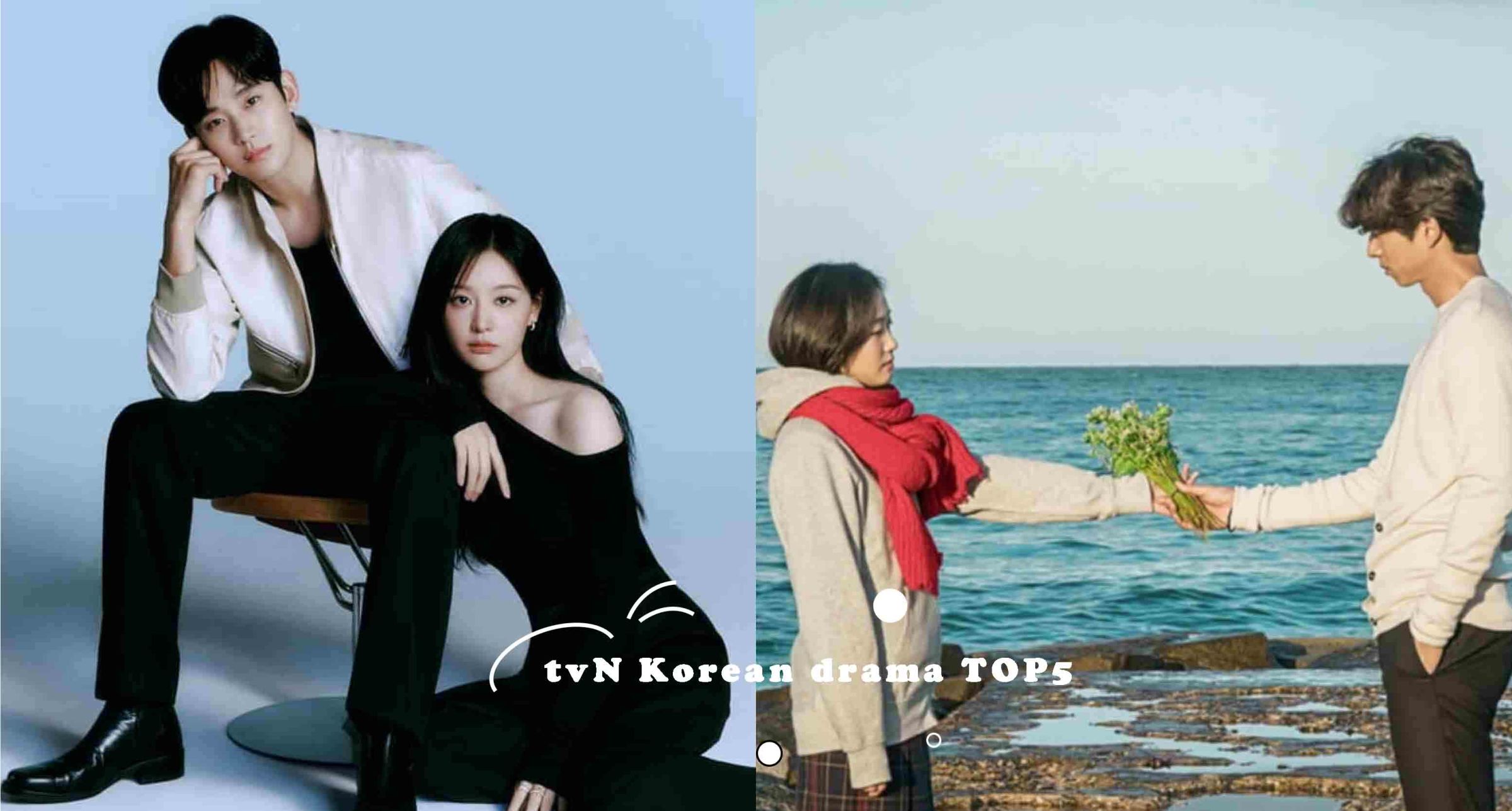 tvN歷代收視排行榜Top5！人生必看韓劇《鬼怪》只排第三、《淚之女王》榮登史上收視率最高紀錄！